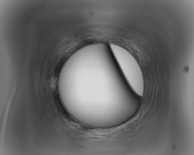 X0000100420033200806060958