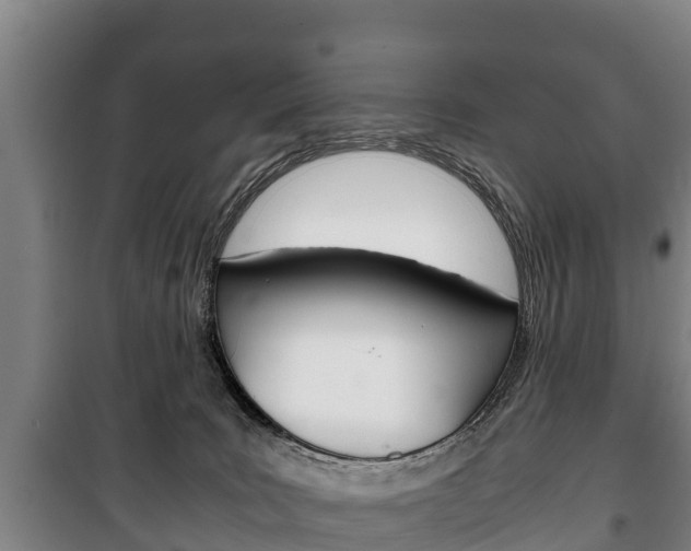 X0000100420035200806060958
