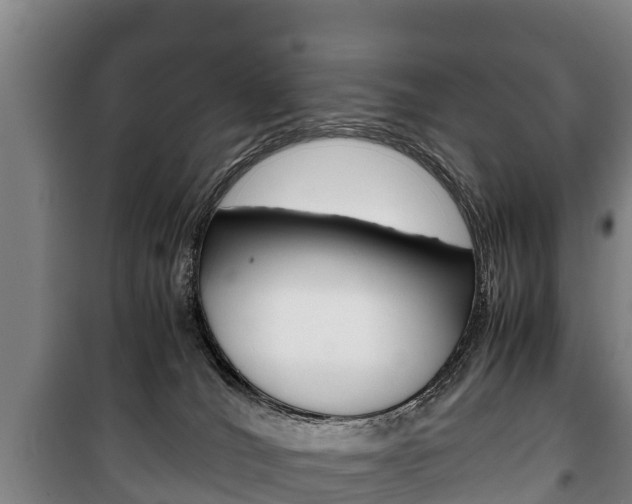 X0000100420036200806060958