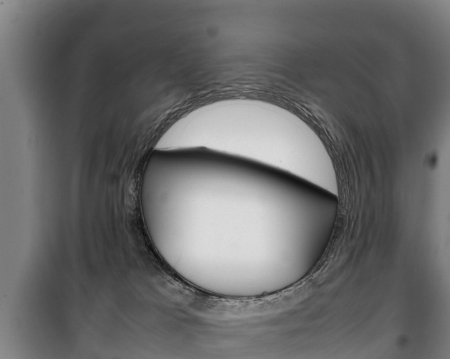 X0000100420037200806060958