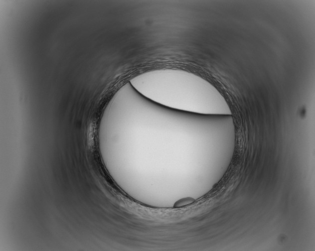 X0000100420038200806060958