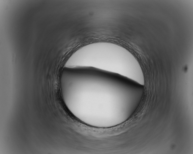 X0000100420039200806060958