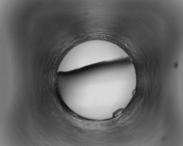 X0000100420040200806060958