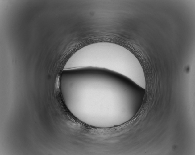 X0000100420041200806060958