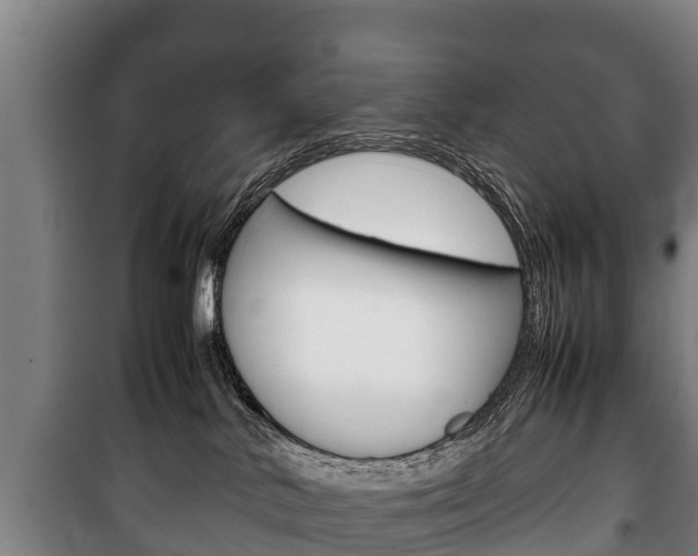 X0000100420042200806060958