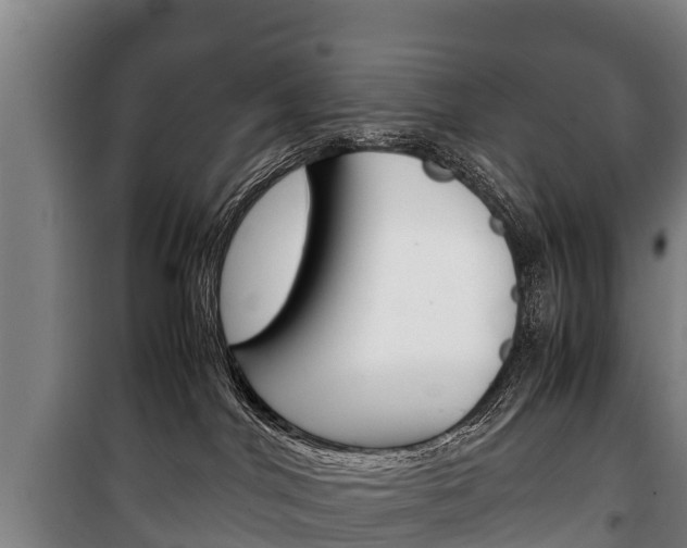 X0000100420044200806060958