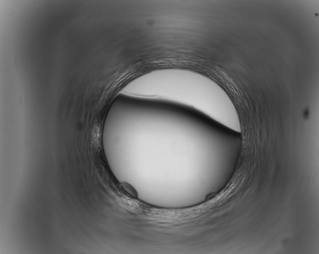 X0000100420045200806060958