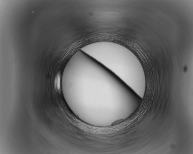 X0000100420046200806060958