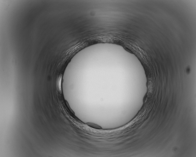 X0000100420047200806060958