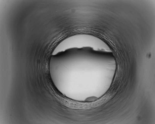X0000100420048200806060958