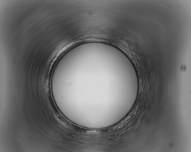 X0000100420050200806060957