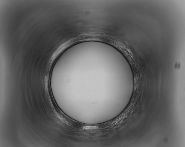 X0000100420051200806060957