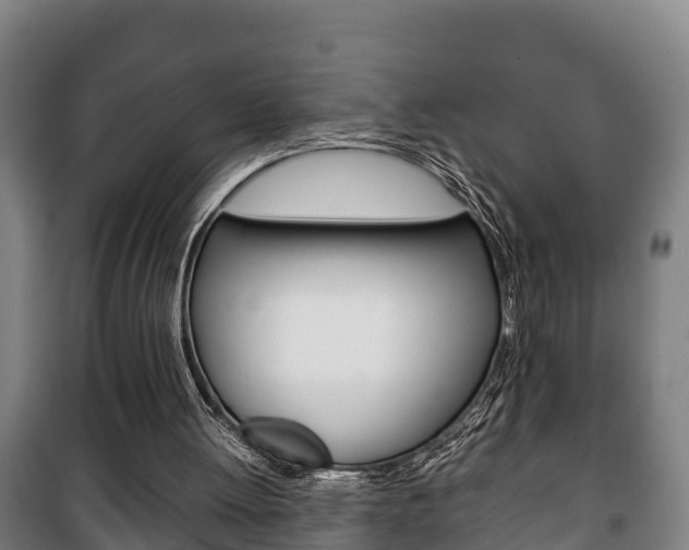 X0000100420052200806060957