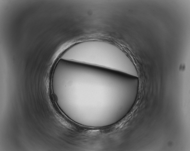 X0000100420054200806060957
