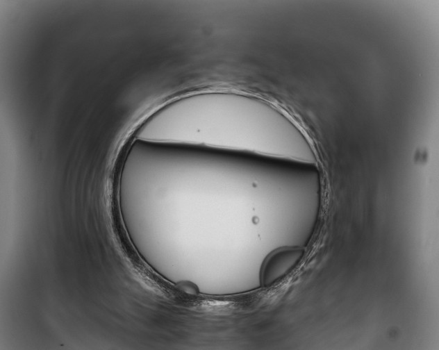 X0000100420055200806060958