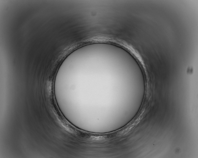 X0000100420057200806060958