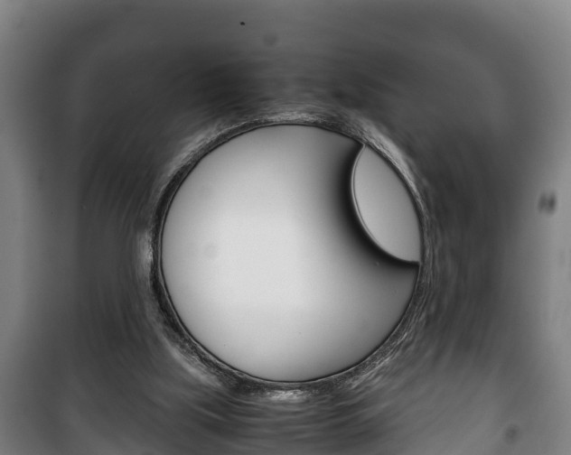 X0000100420059200806060958