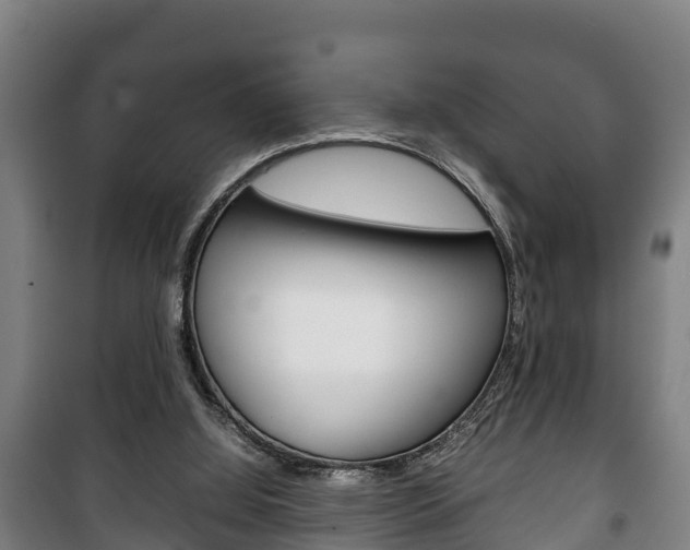 X0000100420060200806060958