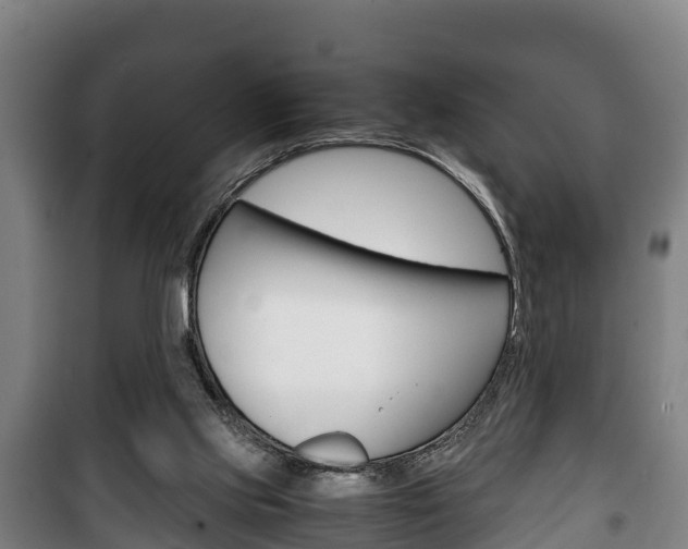 X0000100420061200806060958