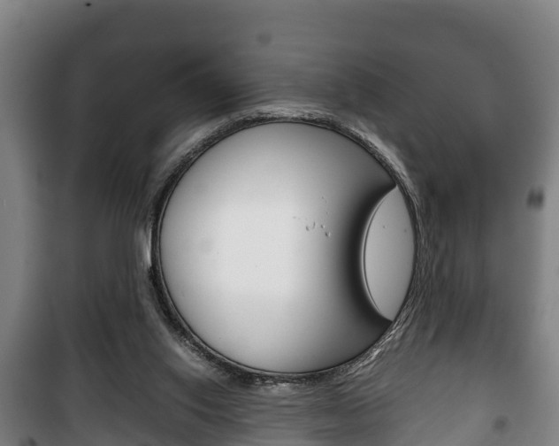 X0000100420062200806060958