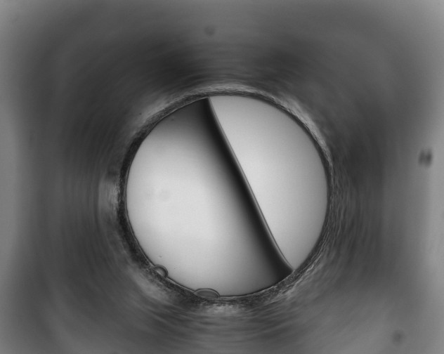 X0000100420063200806060958