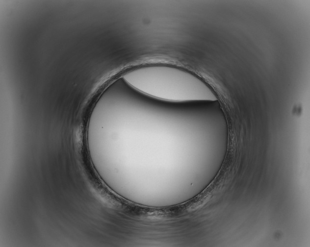 X0000100420064200806060958