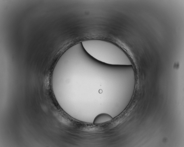 X0000100420065200806060958
