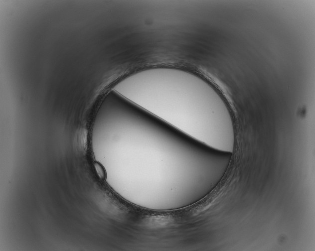 X0000100420067200806060958