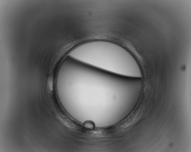 X0000100420068200806060958