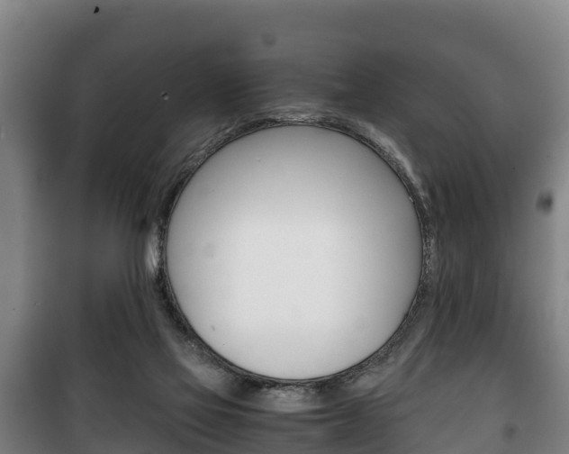 X0000100420069200806060958