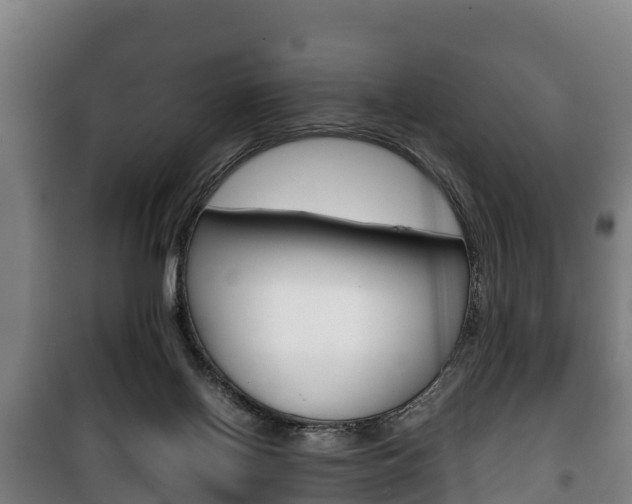 X0000100420070200806060958
