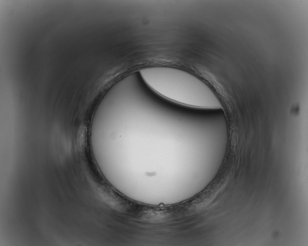 X0000100420071200806060958