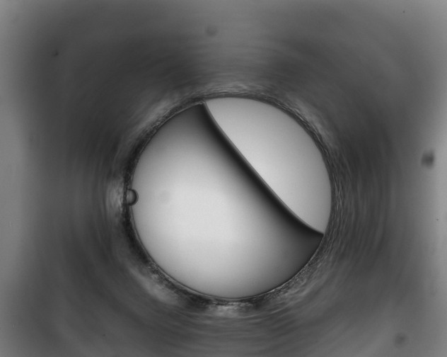 X0000100420072200806060958