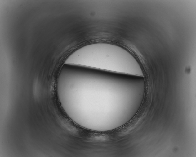 X0000100420073200806060958