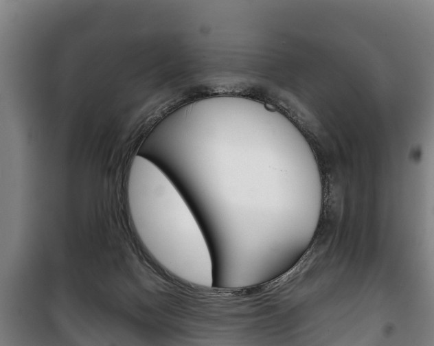X0000100420074200806060958