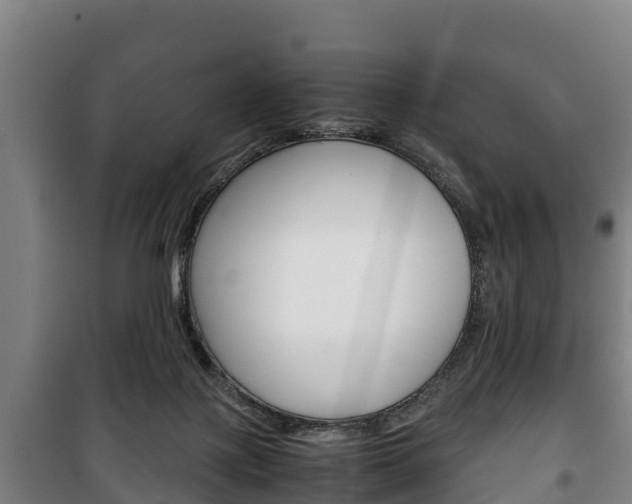 X0000100420075200806060958