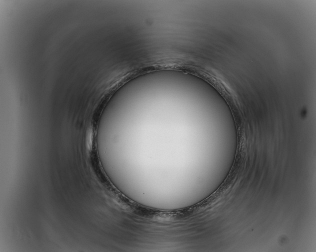 X0000100420076200806060958