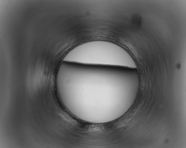 X0000100420077200806060958