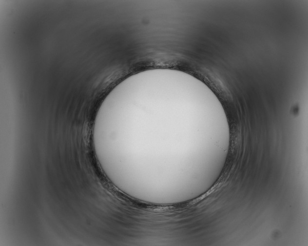 X0000100420078200806060958