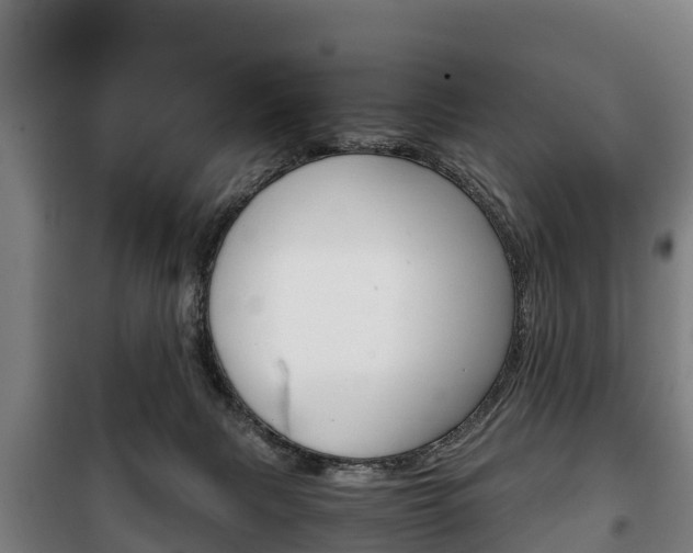 X0000100420079200806060958