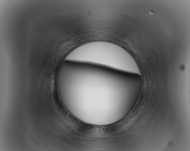 X0000100420080200806060958