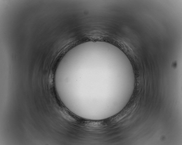 X0000100420081200806060958