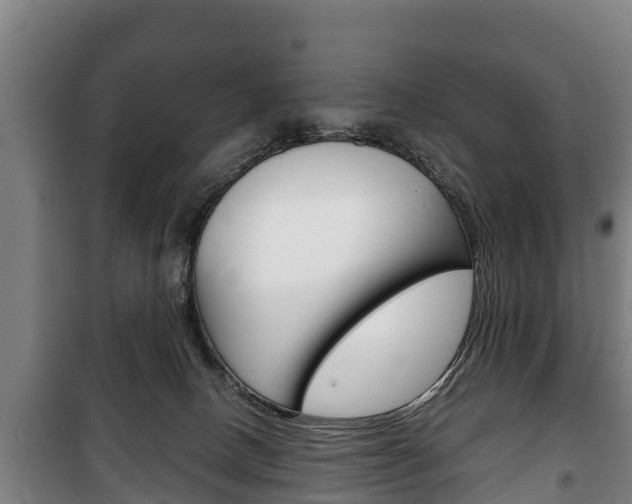 X0000100420082200806060958