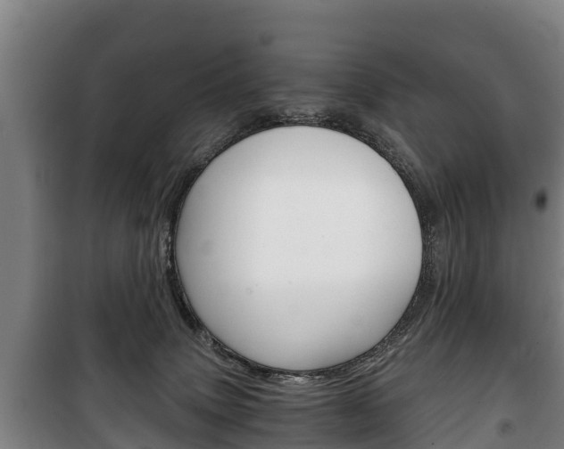X0000100420083200806060958