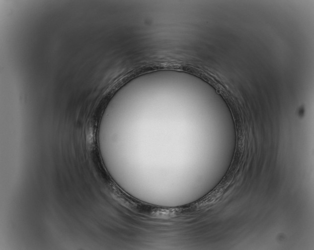 X0000100420084200806060958