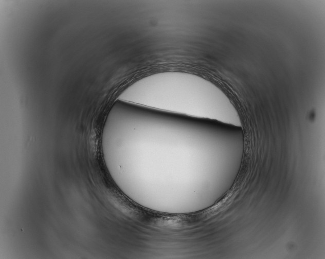 X0000100420086200806060958