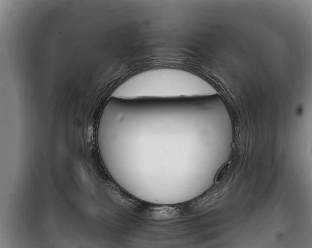 X0000100420087200806060958
