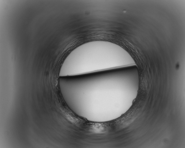 X0000100420091200806060958