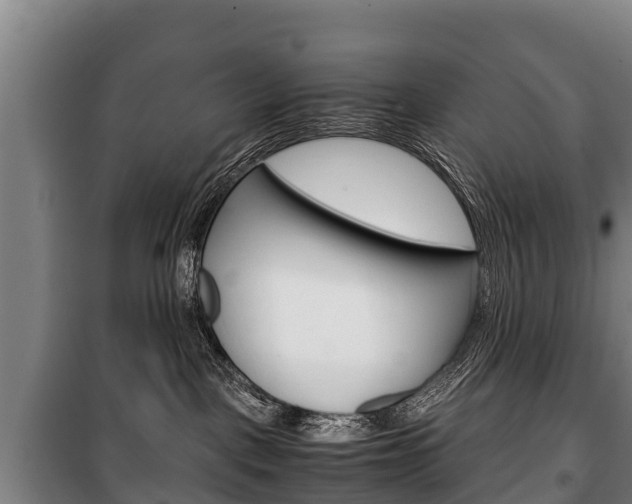 X0000100420093200806060958