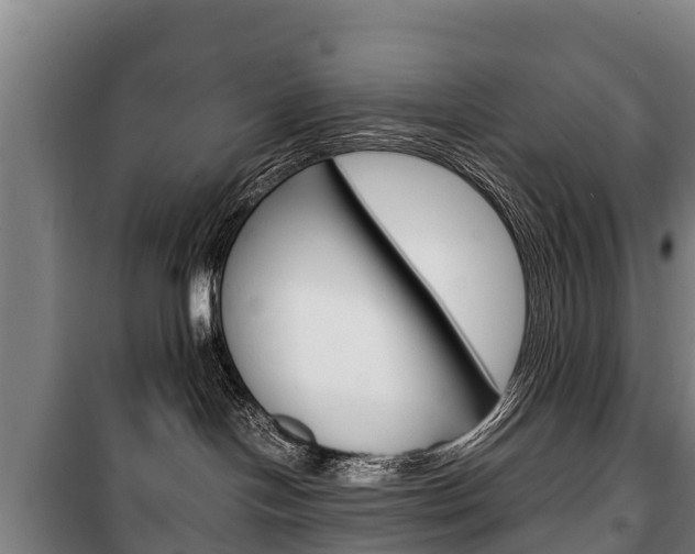 X0000100420094200806060958